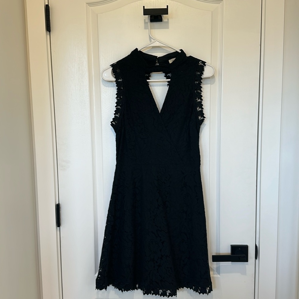 Stunning - Francesca’s Lace Dress